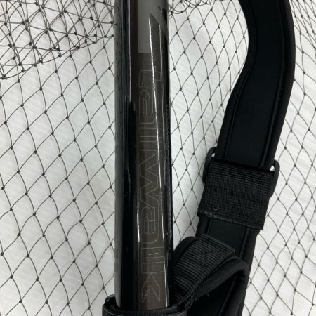 σσ tailwalk テイルウォーク キャッチバー改マイクロ480 程度B 16949