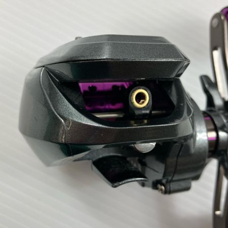 σσ DAIWA ダイワ ベイトリール ライトSW X IC L  020964