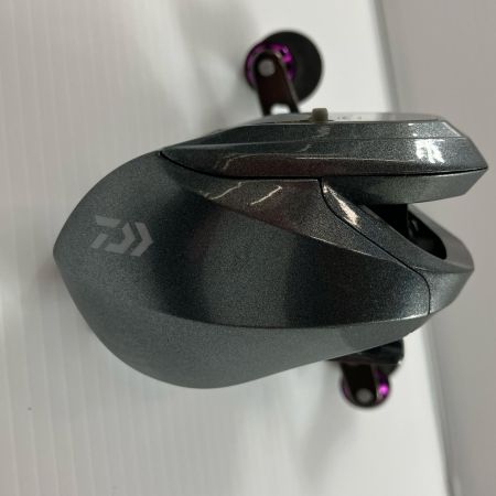 σσ DAIWA ダイワ ベイトリール ライトSW X IC L  020964