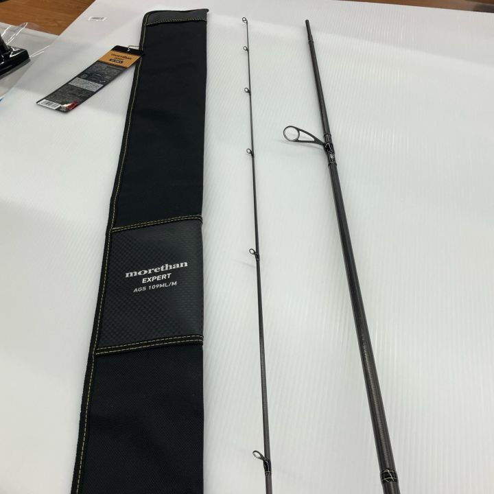 σσ DAIWA ダイワ シーバスロッド モアザン エキスパート AGS109ML/M 