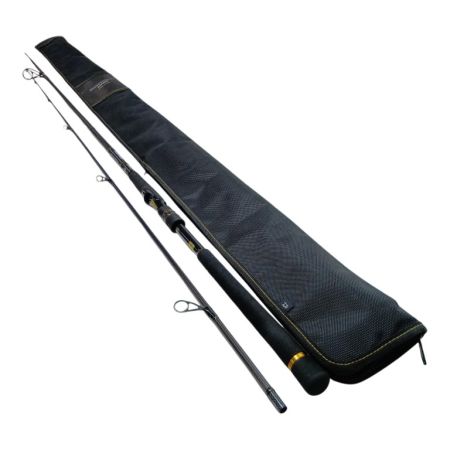 DAIWA ダイワ 01480338 釣り用品 ロッド シーバスロッド モアザンEX AGS110M 程度AB