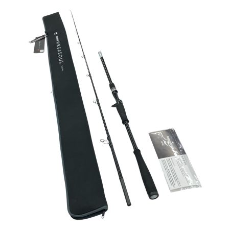 σσ APIA ジギングロッド MEGA SOUL C63H+ グランデージ メガソウル