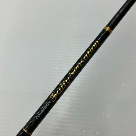 σσ EVER GREEN エバーグリーン ルアーロッド ソルティーセンセーション 袋付 PSS-57T