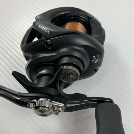 σσ DAIWA ダイワ ベイトリール 24タトゥーラ TW 100  00630163