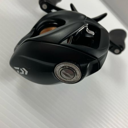 σσ DAIWA ダイワ ベイトリール 24タトゥーラ TW 100  00630163