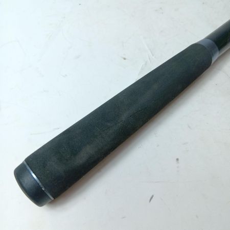 NFT シーバスロッド ダイアフラッシュ シーバス 1204M 本体のみ