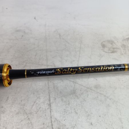 EVER GREEN エバーグリーン PSSS-610S 釣り用品 ロッド アジングロッド ソルティセンセーション 程度AB