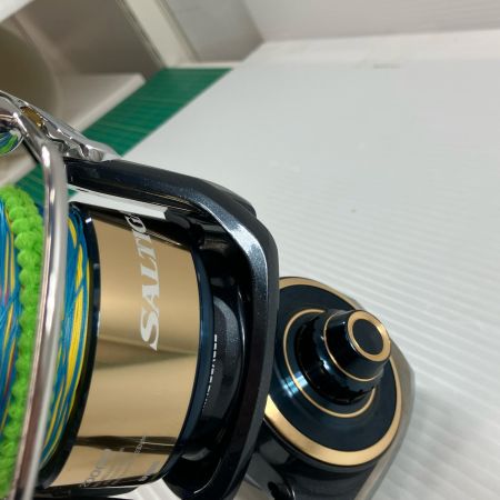 σσ DAIWA ダイワ スピニングリール 20ソルティガ 20000-H  309516