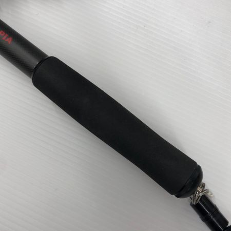 σσ APIA ランディングネット カーボンウェーディングネット マグネットリリーサー付き WN5346