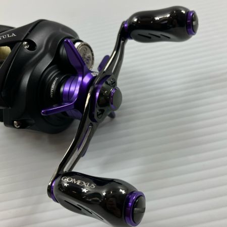 σσ DAIWA ダイワ  ベイトリール24タトゥーラ 100 SPLドラグ/ゴメクサスハンドル