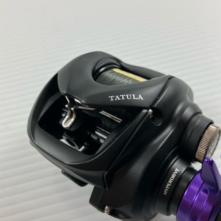 σσ DAIWA ダイワ  ベイトリール24タトゥーラ 100 SPLドラグ/ゴメクサスハンドル