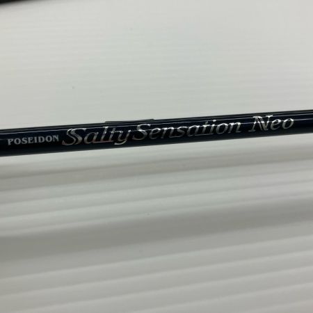 σσ EVER GREEN エバーグリーン アジングロッドポセイドン ソルティセンセーション ネオ NEOS-610UL-S