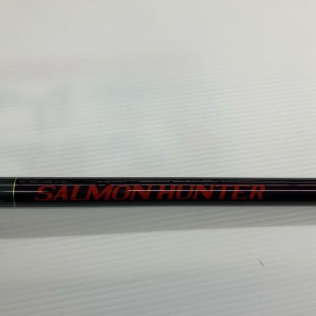 σσ DAIWA ダイワ 渓流竿 ノボリサーモンハンター P-8 83SR  06315540