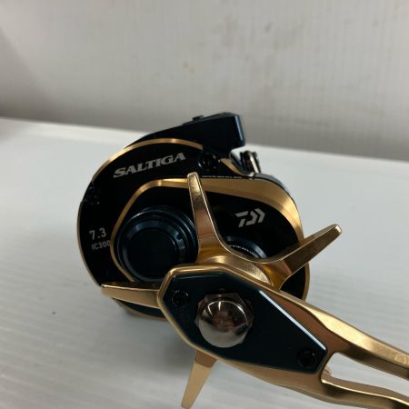 σσ DAIWA ダイワ  21ソルティガ 00631506
