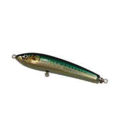 σσ CARPENTER ブルーフィッシュ 60-170 キズ有 Bランク
