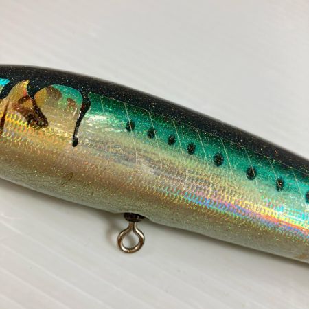 σσ CARPENTER ブルーフィッシュ 60-170 キズ有