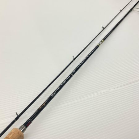 TENRYU CO. 天龍 トラウトロッド レイズ  RZ772S-ML