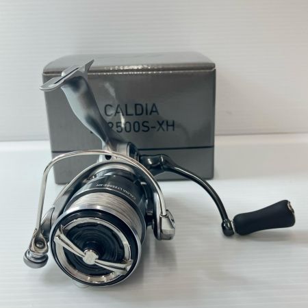 DAIWA ダイワ  25カルディア LT2500S-XH  442483
