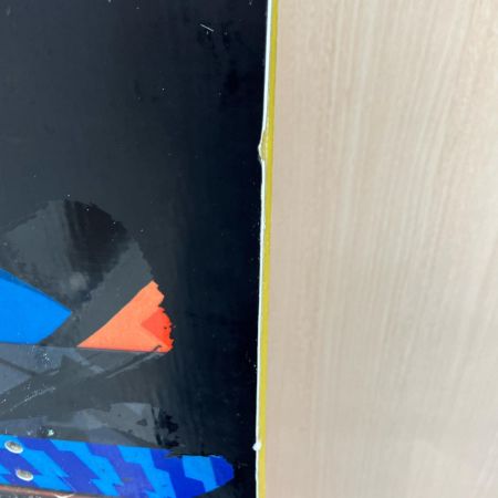 ENDEAVOR スノーボード  サマーボード 151cm ツインチップ キャンバー  マルチカラー FULL DULLING　リペアあり