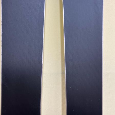 SALOMON サロモン スキー Jrスキー SALOMON 140cm ブラック×ブルー XRACE R13 ブラック×ブルー 滑走面・エッジ整備済み