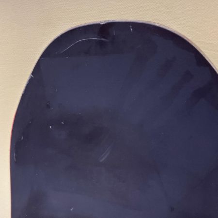 SIMS シムス スノーボード SIMS ツインチップ ダブルキャンバー 148cm THE DAY ブラック