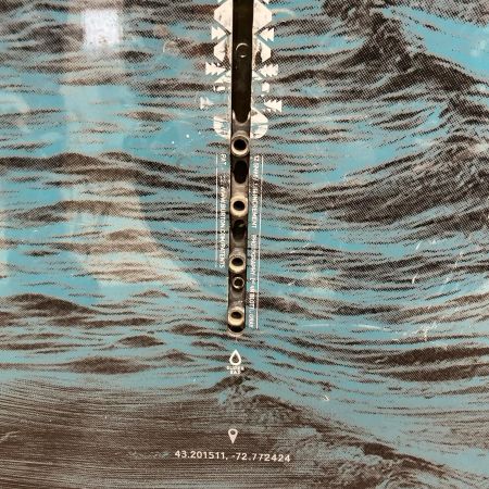 BURTON バートン Family tree Dumptruck ブラック×パープル×ブルー