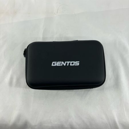 GENTOS LED ライト GZ-316