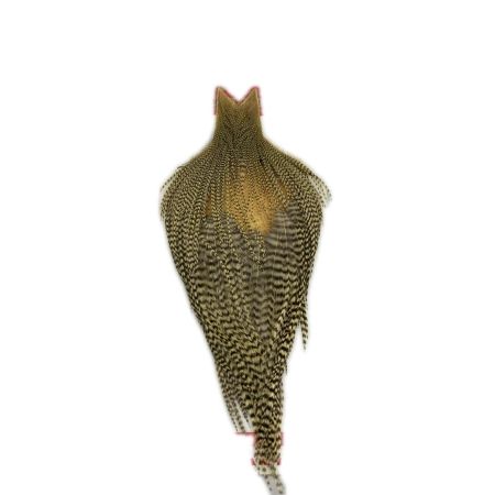 WHITING マテリアル WHITING コックネック 程度C グリッズル レモン