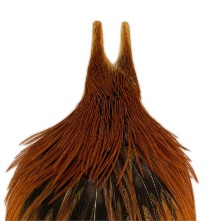 フライマテリアル ハックルケープ コックネック ブラウン