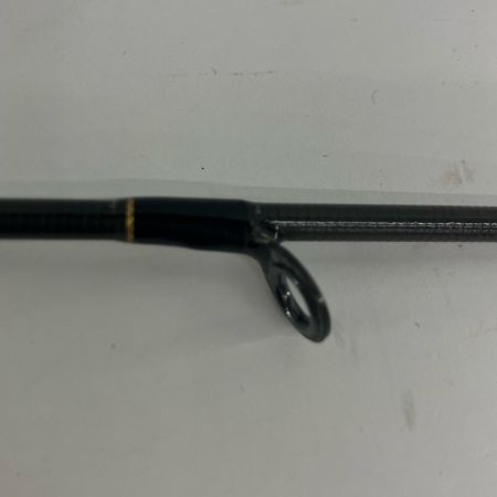 DAIWA ダイワ ルアーロッド DAIWA ダイワ 01474020 morethan 109MML 10'9" 01474020