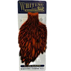 WHITING ホワイティング 釣り小物 フライマテリアル WHITING ハックルケープ ヘンネック ダイドオレンジ Bランク