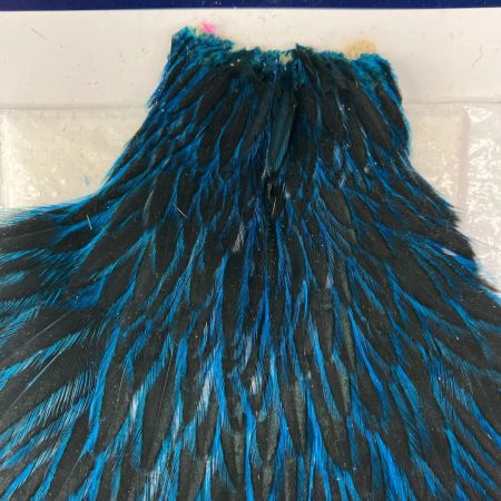 WHITING ホワイティング 釣り小物 フライマテリアル WHITING ハックルケープ ヘンネック ダイド キングフィッシャーブルー