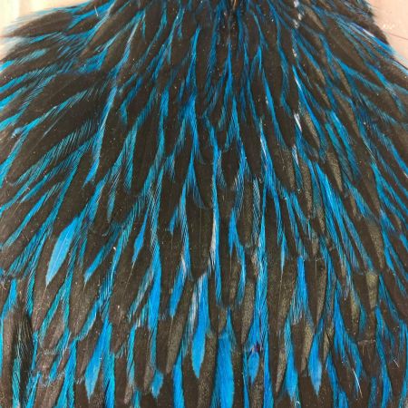 WHITING ホワイティング 釣り小物 フライマテリアル WHITING ハックルケープ ヘンネック ダイド キングフィッシャーブルー