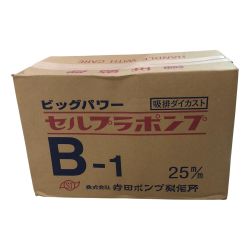 TERADA セルプラポンプ B-1 Sランク