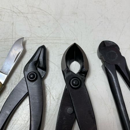 八木光　高級盆栽セット