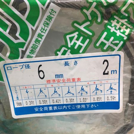 トゲなし玉掛ワイヤ径6mmx長さ2m 6個セット