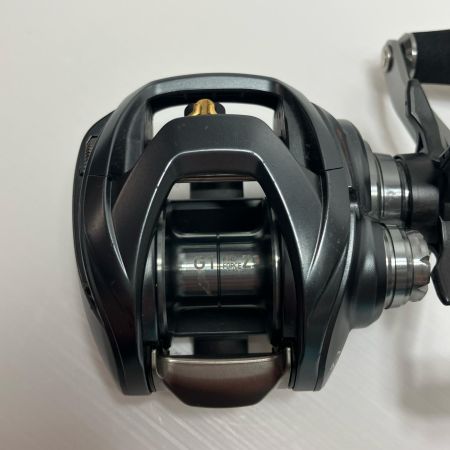 DAIWA ダイワ ベイトリール スティーズ A TW 1016SH  00613374