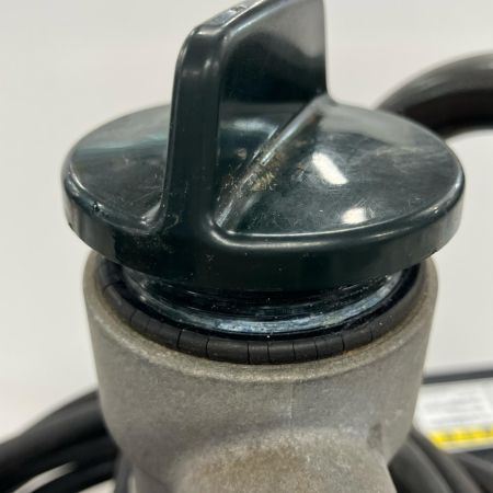 KOSHIN モーターポンプ MG-25-AAA-1