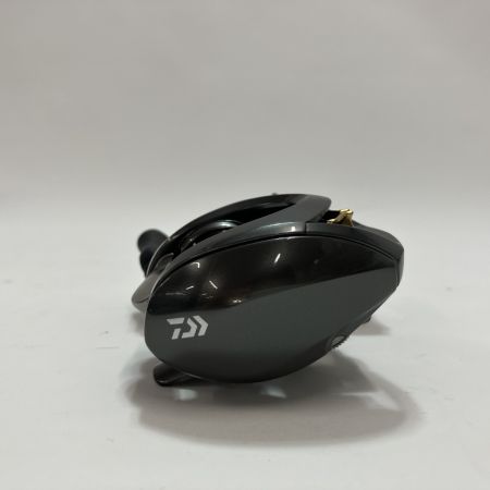 DAIWA ダイワ ベイトリール スティーズ CT SV TW 700XHL 613535