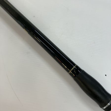 DAIWA ダイワ 投竿 エクストラサーフT 30-425・K 05267445