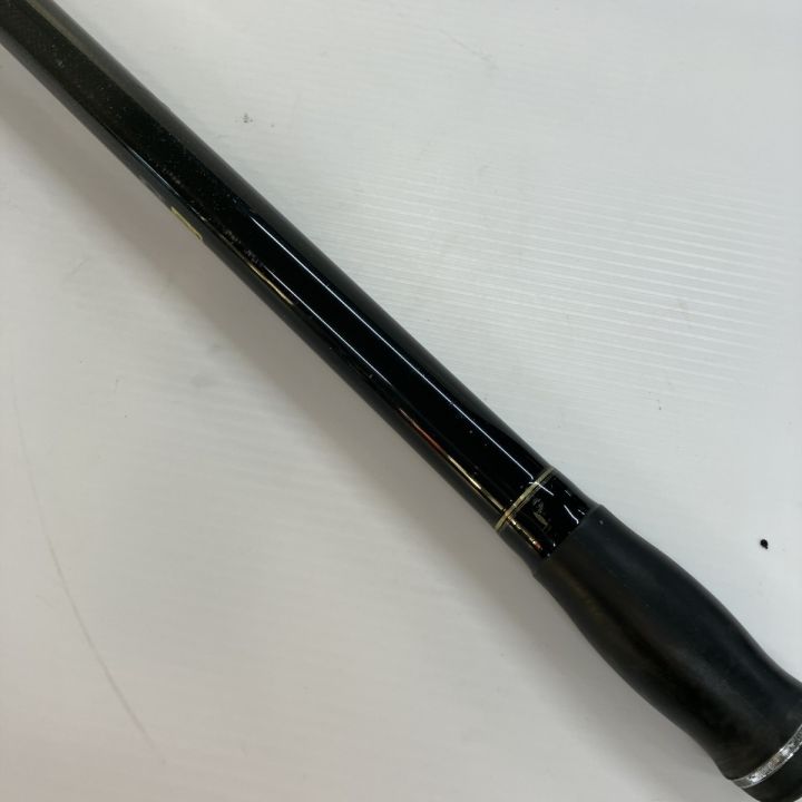 DAIWA ダイワ 投竿 エクストラサーフT 30-425・K 05267445 - 中古釣り