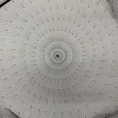 σσ SHIMANO シマノ 渓流ダモ リミテッド 25cm　程度B