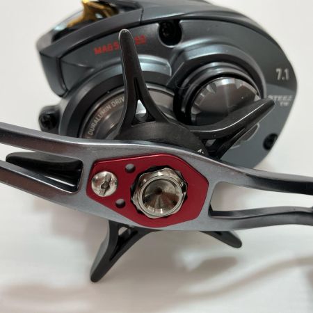 DAIWA ダイワ ベイトリール スティーズ A TW 1016SHL キズ有 00613375