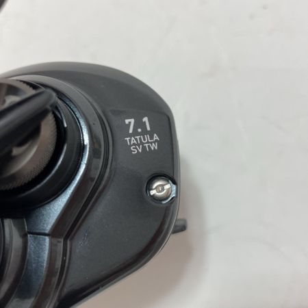 DAIWA ダイワ ベイトリール 20タトゥーラ SV TW 103SHL