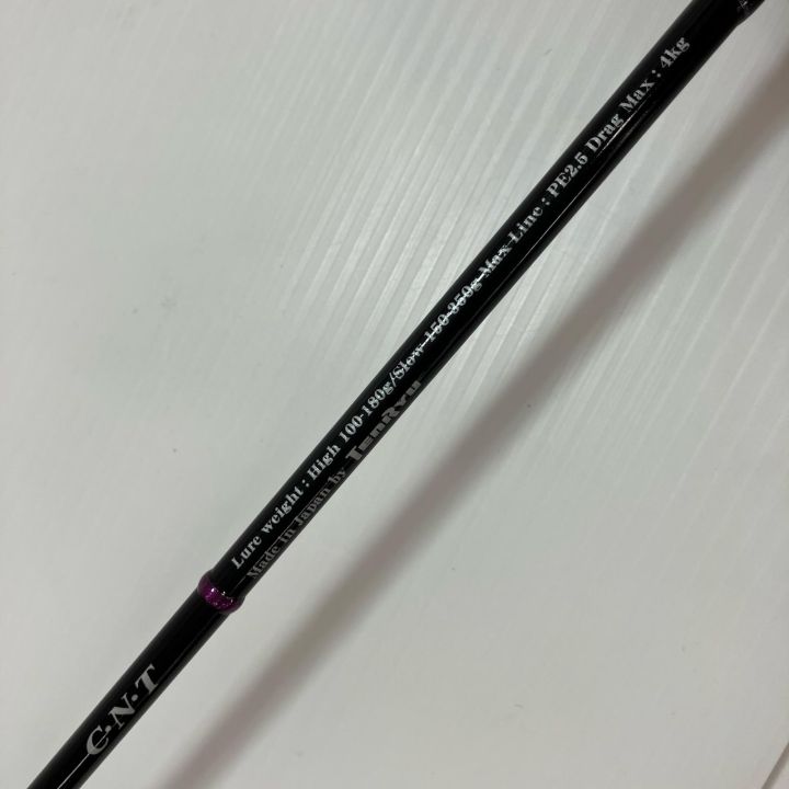 TENRYU CO. 天龍 ルアーロッド ﾎﾗｲｿﾞﾝMJ HMJ5101B-M 竿袋付 - 中古釣り