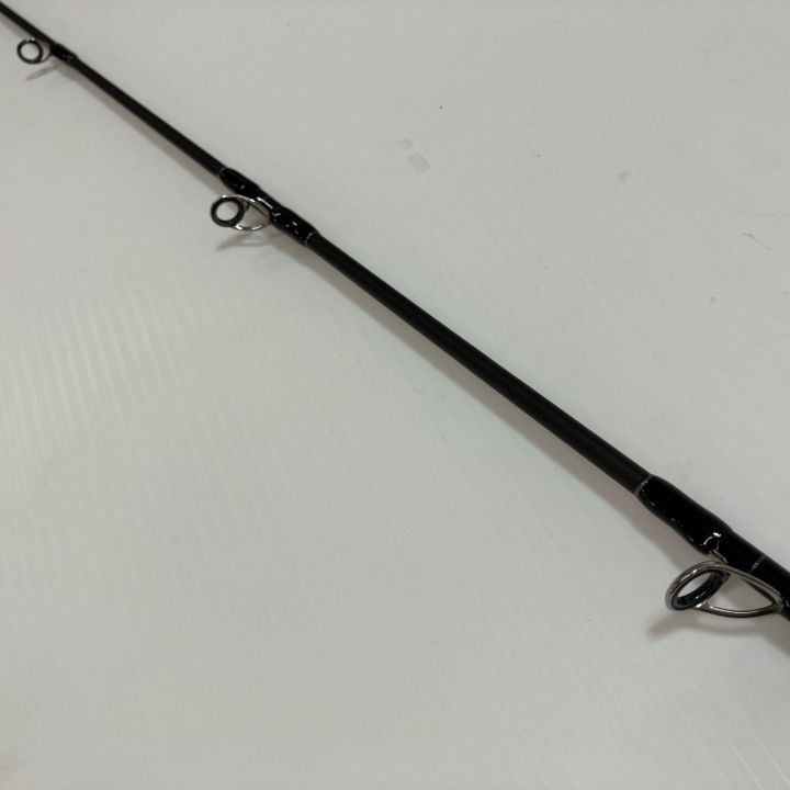 TENRYU CO. 天龍 ルアーロッド ﾎﾗｲｿﾞﾝMJ HMJ5101B-M 竿袋付 - 中古釣り