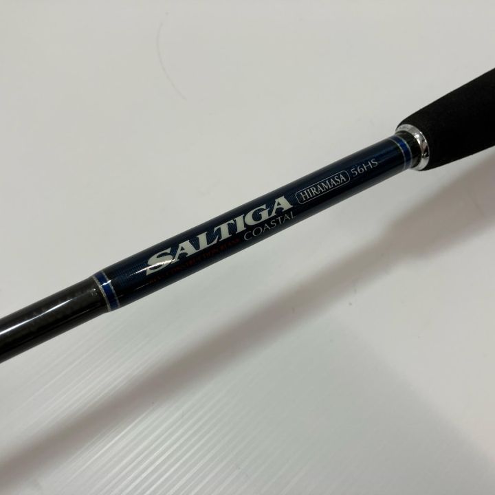 ダイワ　ソルティガ　コースタル　ヒラマサ　56HS ダイワ ソルティガ コースタル ヒラマサ 56HS ソルティガコースタル SG