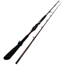 DAIWA ダイワ ロッド 船竿 先鋭剣崎V2 05289154 本体のみ Cランク