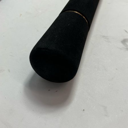 DAIWA ダイワ ロッド ルアーロッド 21ソルティガ C 83-3 05804110