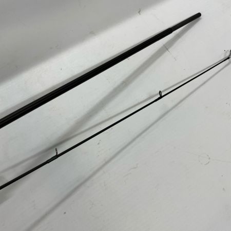 TENRYU CO. 天龍 シーバスロッド SW972S-ML